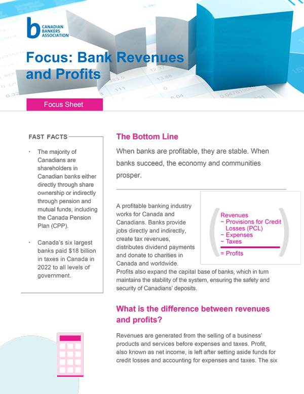 cover of bank revenue and profits document