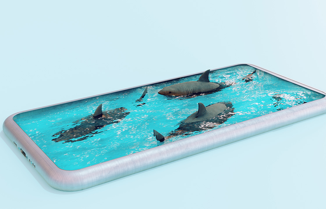 sharks in an mobile phone