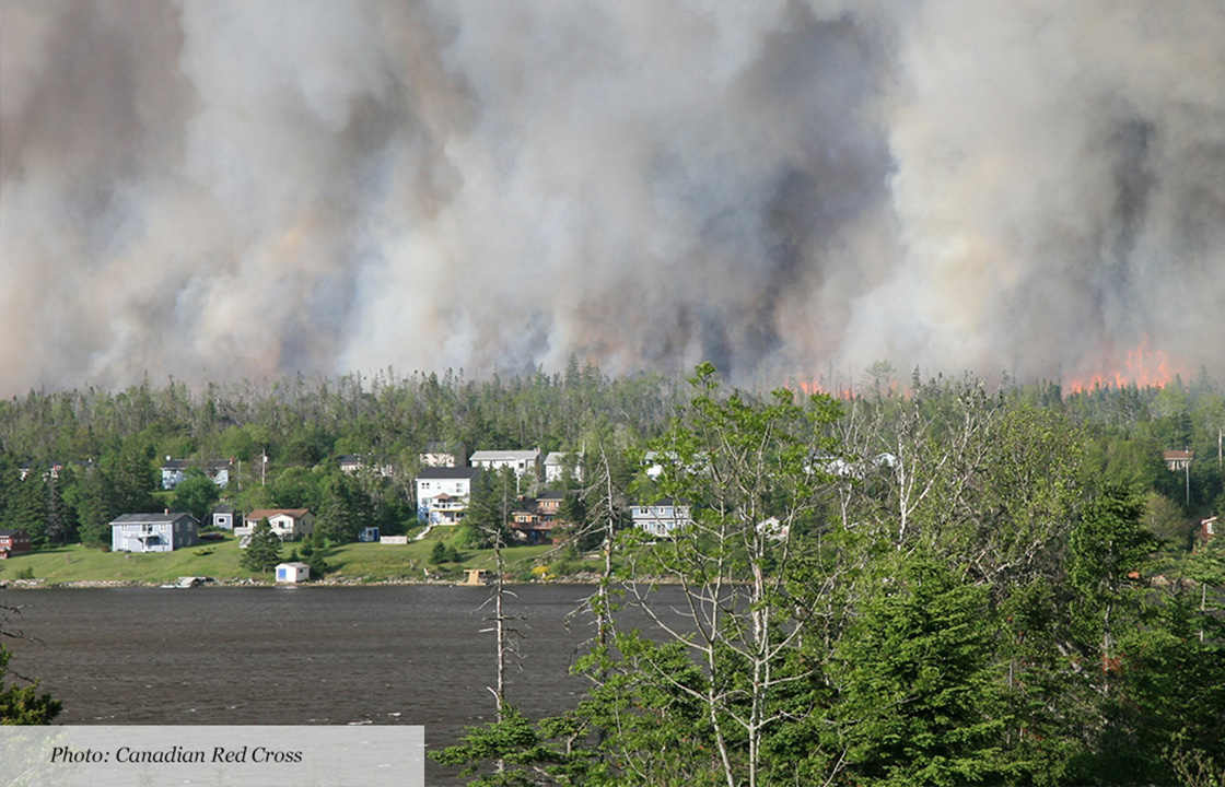 forest fire image