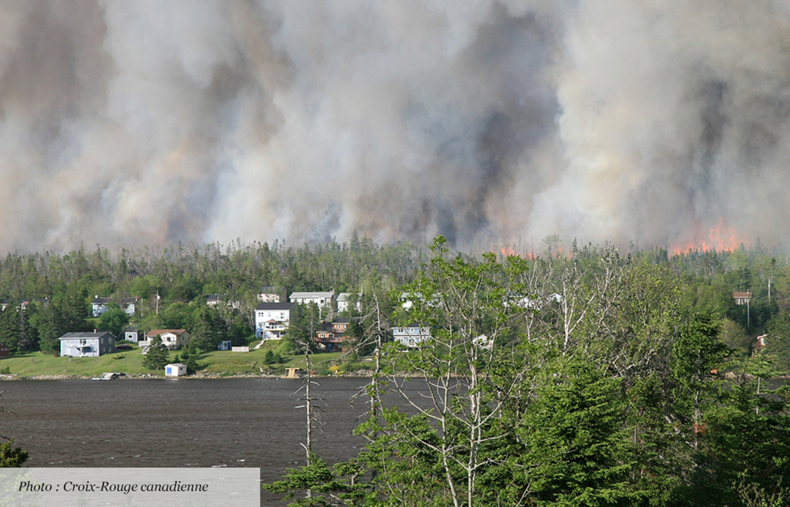 forest fire image