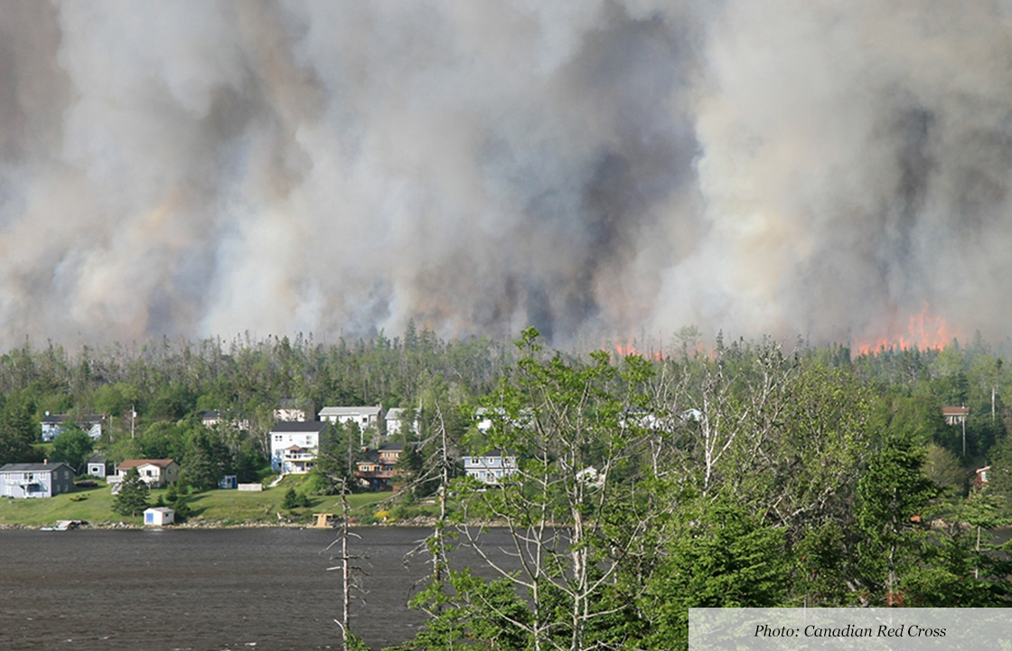 forest fire image