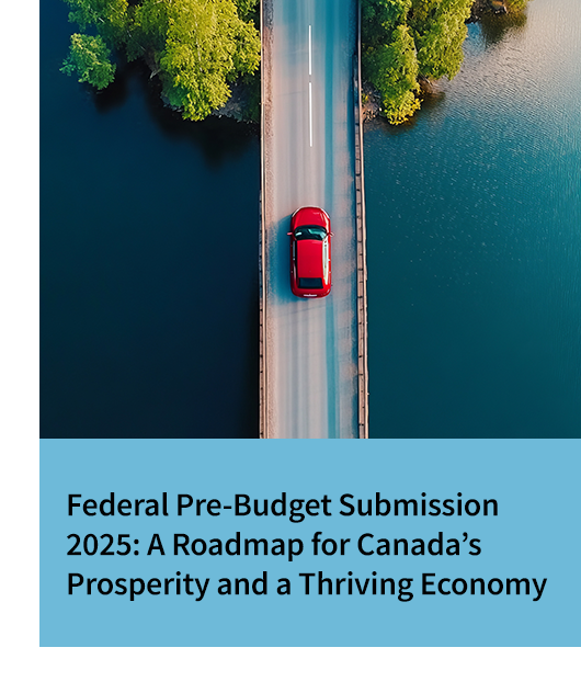 link to the federal 2025 pre-budget submission